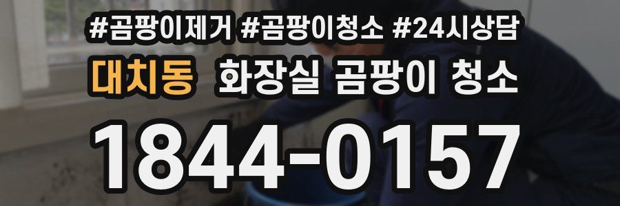 대치동 화장실 곰팡이 청소