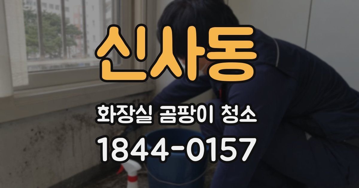 신사동 화장실 곰팡이 청소