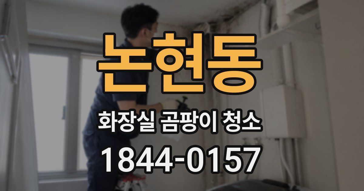 논현동 화장실 곰팡이 청소