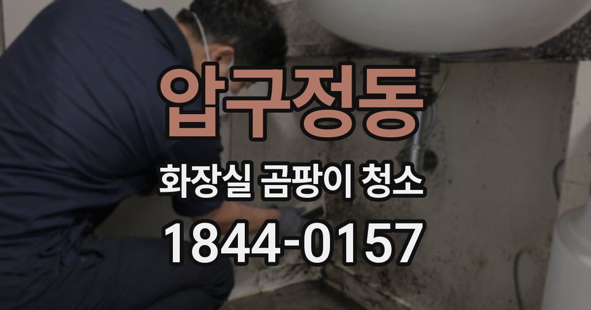압구정동 화장실 곰팡이 청소