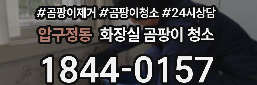압구정동 화장실 곰팡이 청소