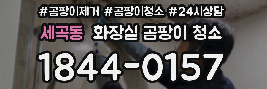 세곡동 화장실 곰팡이 청소
