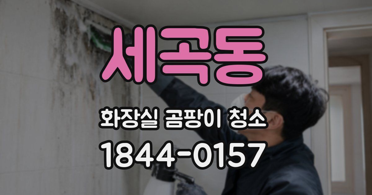 세곡동 화장실 곰팡이 청소