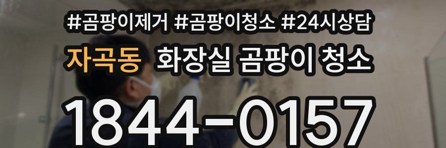 자곡동 화장실 곰팡이 청소