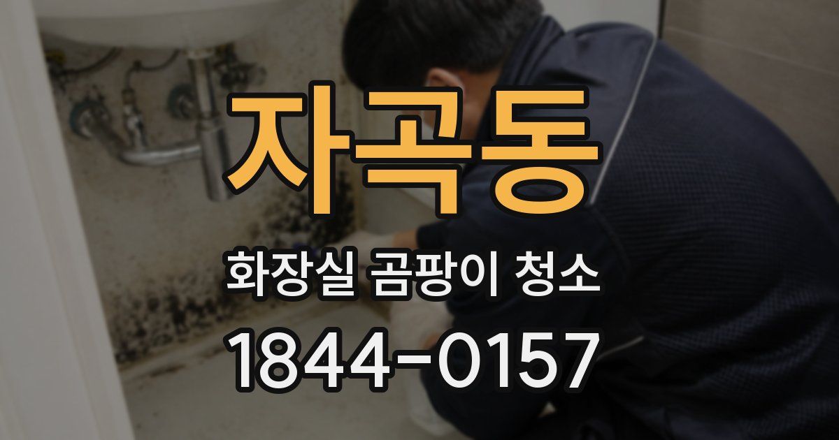 자곡동 화장실 곰팡이 청소