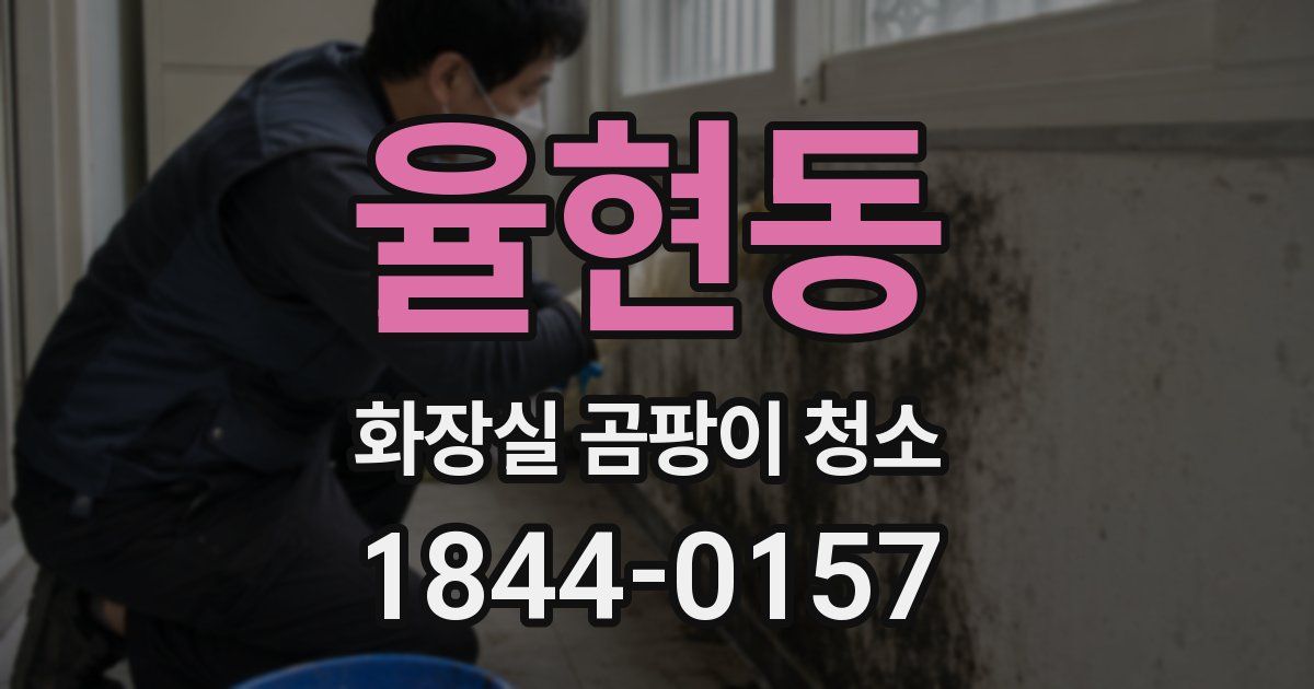 율현동 화장실 곰팡이 청소