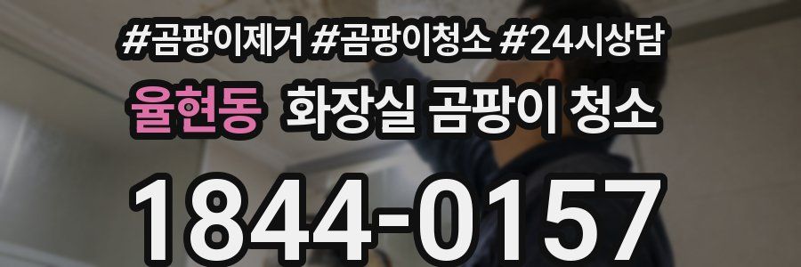율현동 화장실 곰팡이 청소
