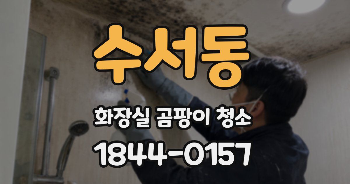 수서동 화장실 곰팡이 청소