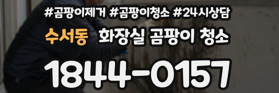수서동 화장실 곰팡이 청소