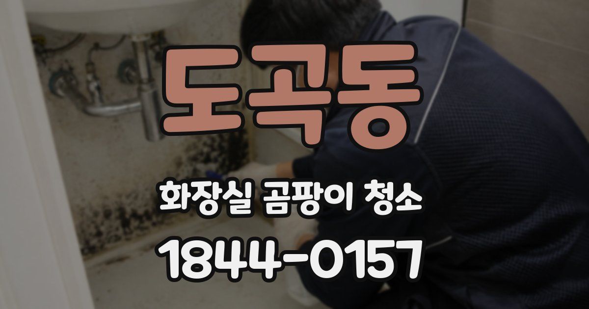 도곡동 화장실 곰팡이 청소