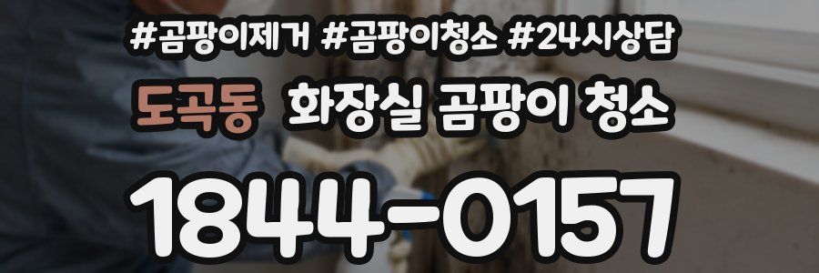 도곡동 화장실 곰팡이 청소