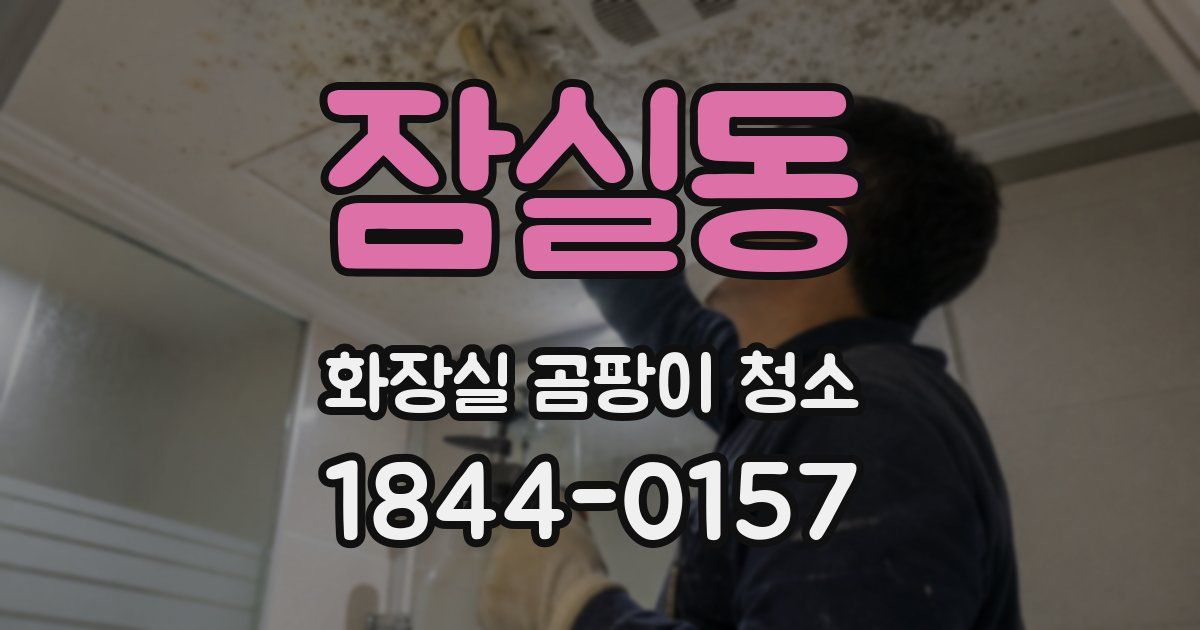잠실동 화장실 곰팡이 청소