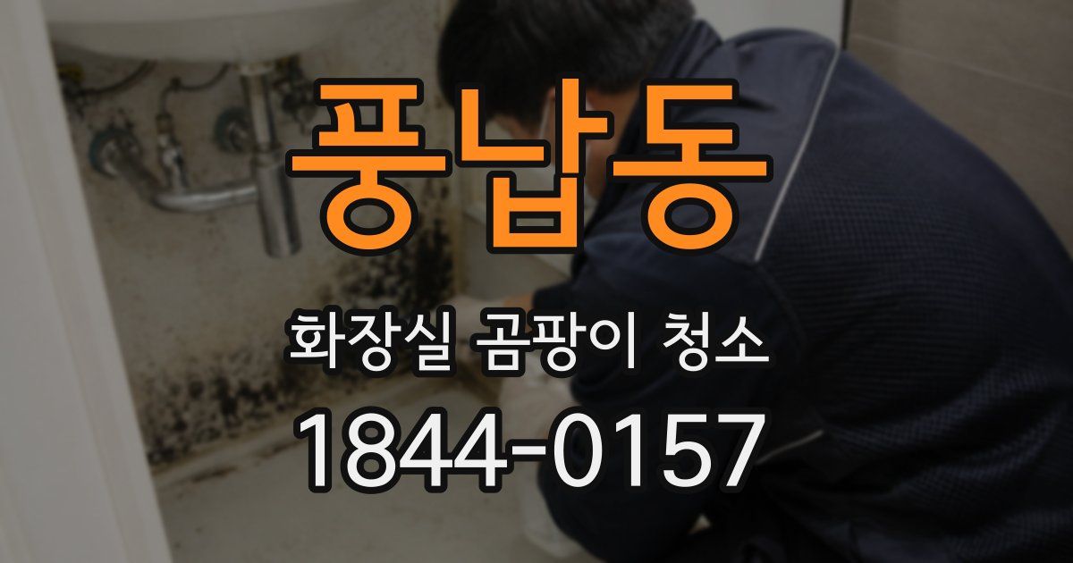 풍납동 화장실 곰팡이 청소