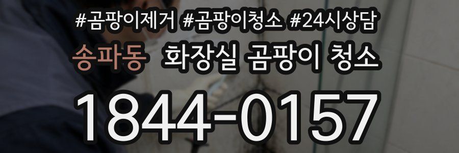 송파동 화장실 곰팡이 청소