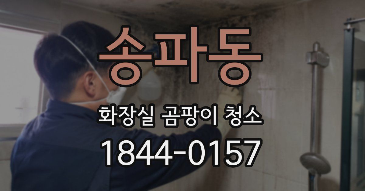 송파동 화장실 곰팡이 청소