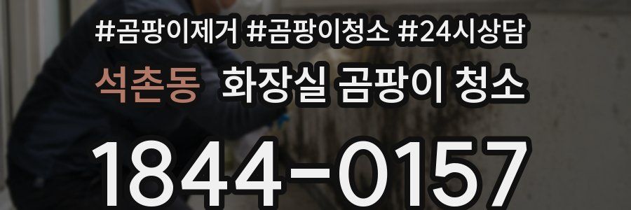 석촌동 화장실 곰팡이 청소