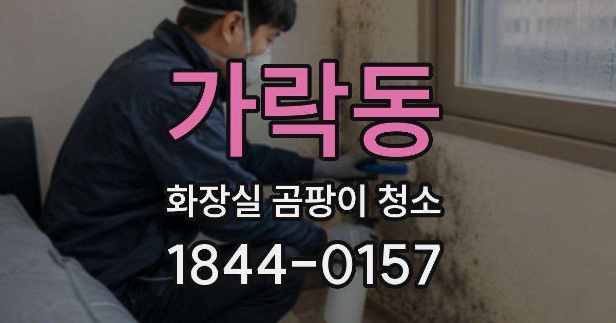가락동 화장실 곰팡이 청소