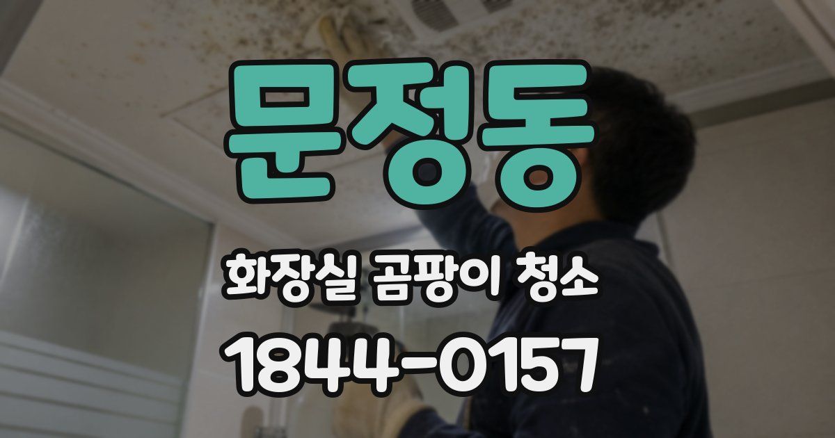 문정동 화장실 곰팡이 청소