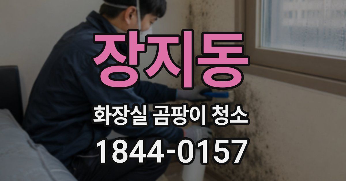 장지동 화장실 곰팡이 청소