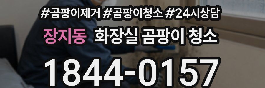 장지동 화장실 곰팡이 청소