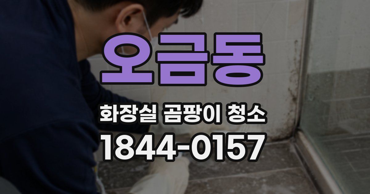 오금동 화장실 곰팡이 청소