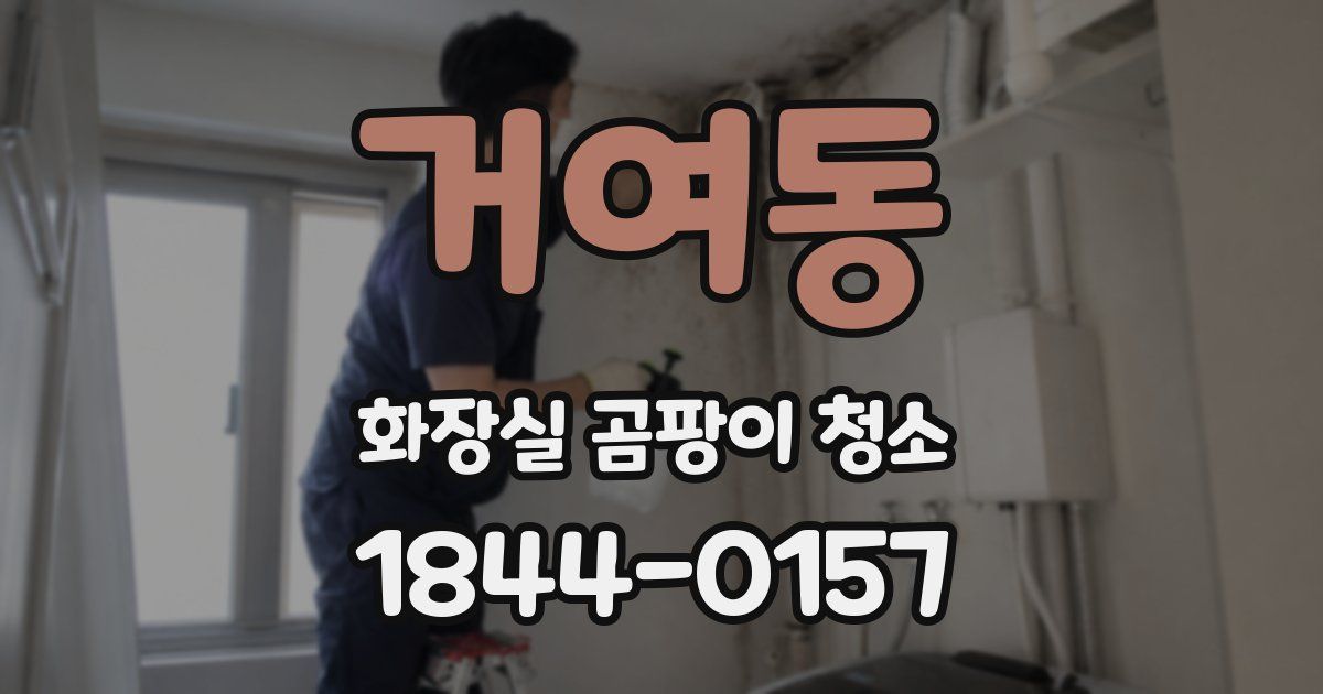 거여동 화장실 곰팡이 청소