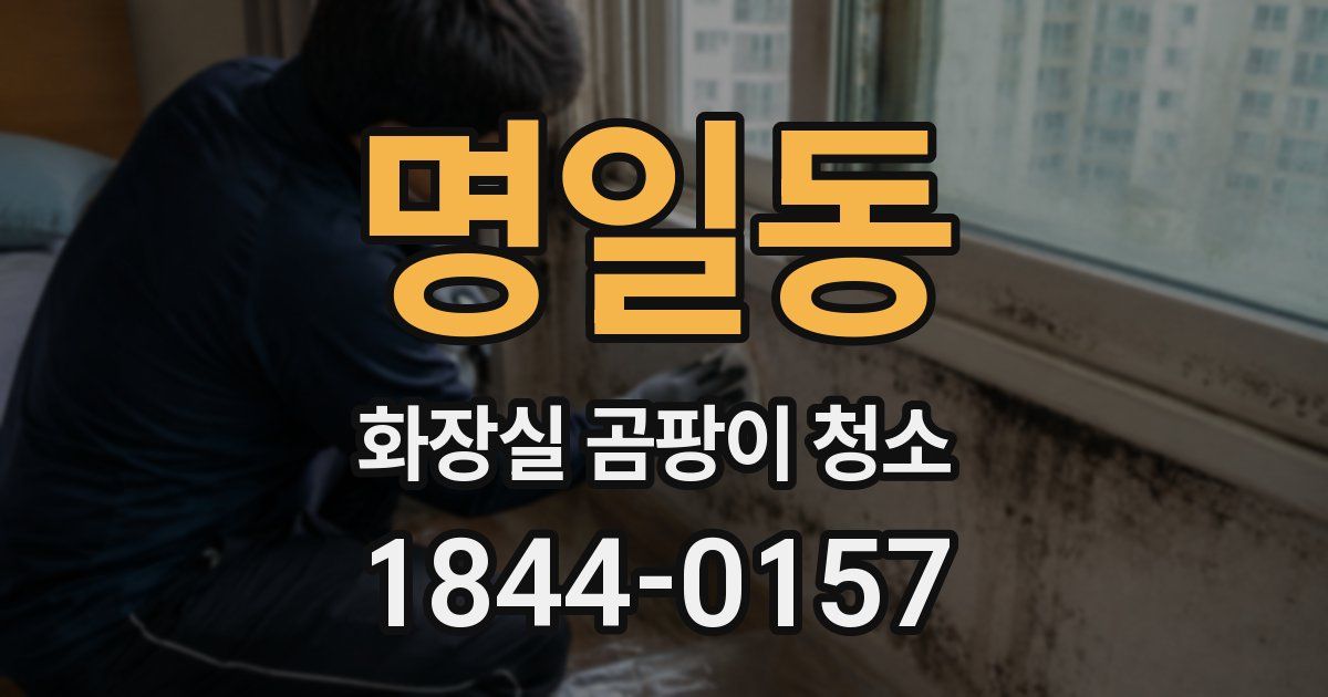 명일동 화장실 곰팡이 청소