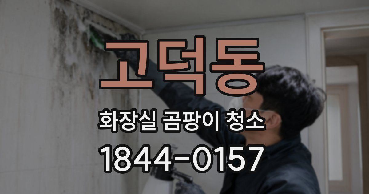 고덕동 화장실 곰팡이 청소