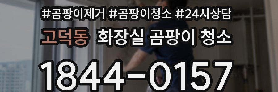 고덕동 화장실 곰팡이 청소