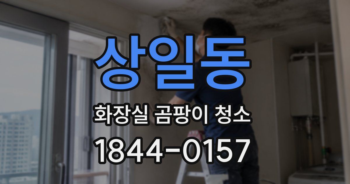 상일동 화장실 곰팡이 청소
