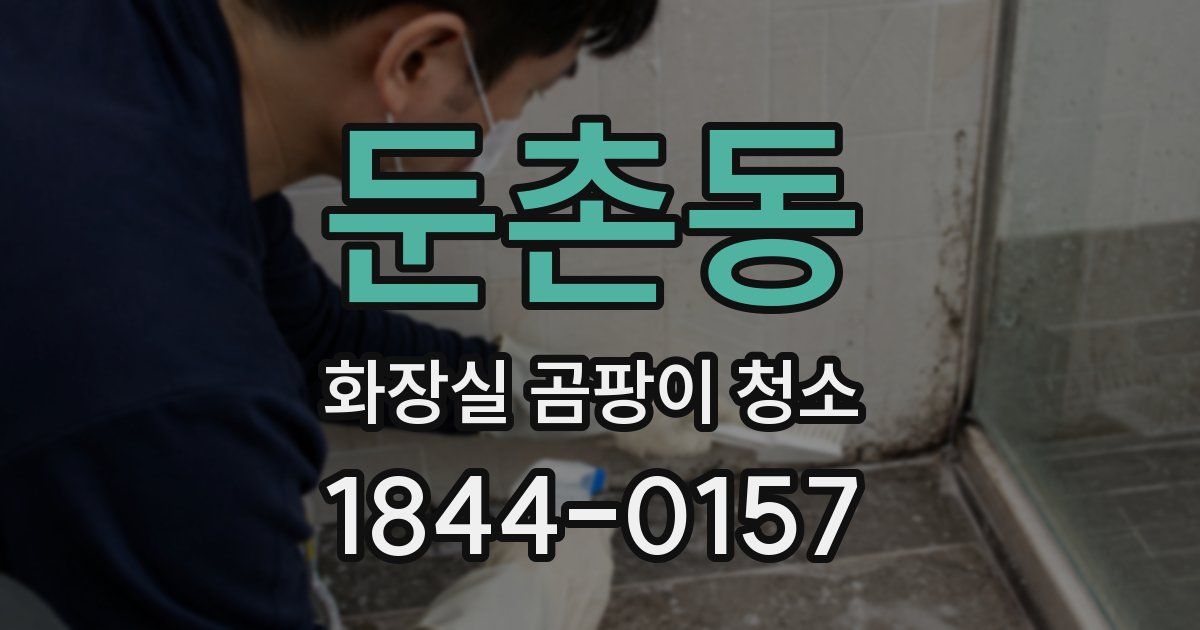 둔촌동 화장실 곰팡이 청소