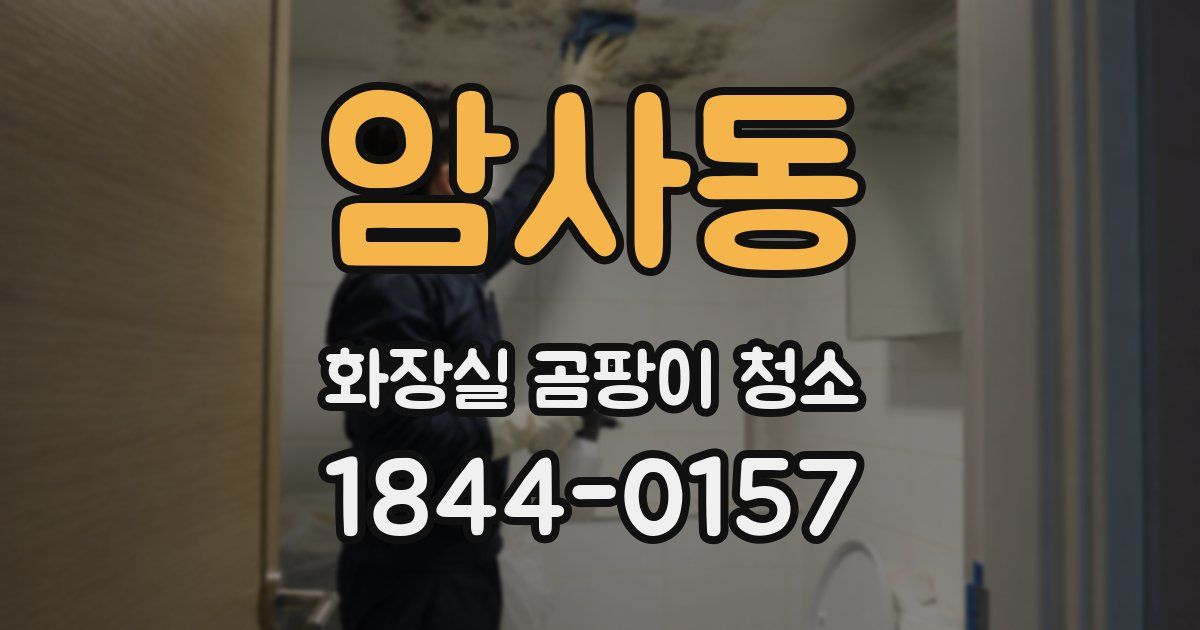 암사동 화장실 곰팡이 청소