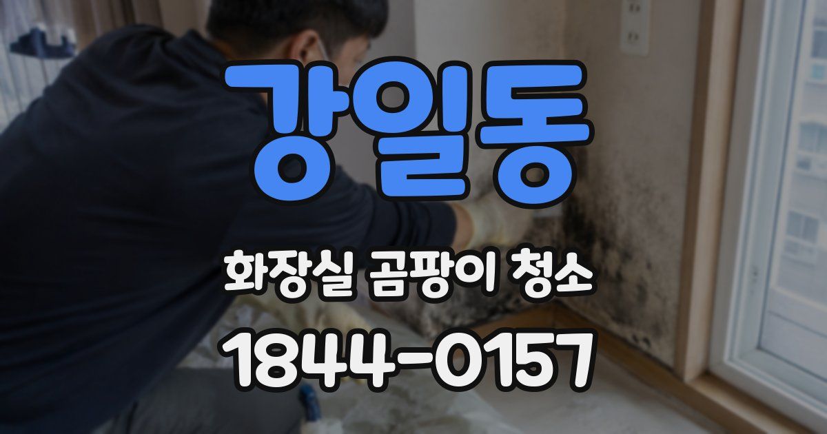 강일동 화장실 곰팡이 청소