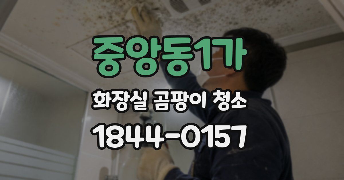 중앙동1가 화장실 곰팡이 청소