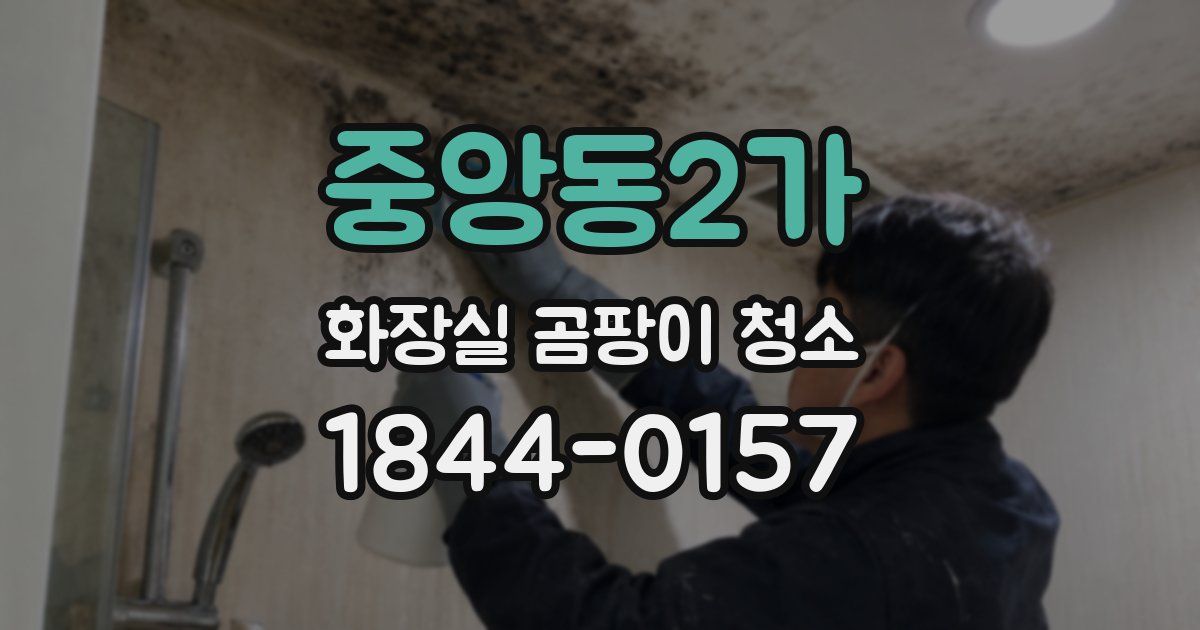 중앙동2가 화장실 곰팡이 청소