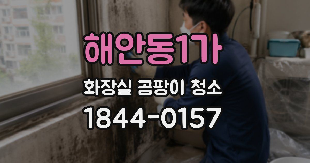 해안동1가 화장실 곰팡이 청소