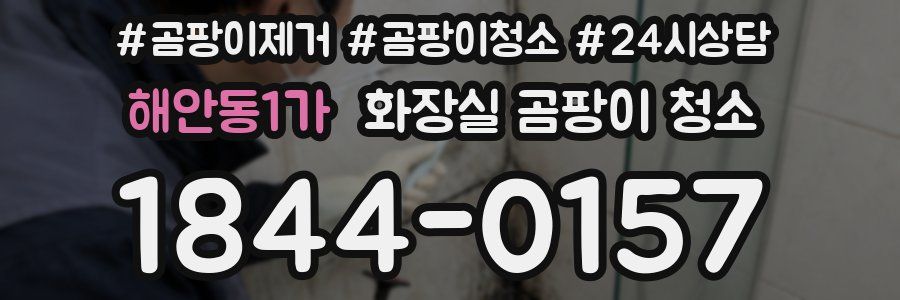 해안동1가 화장실 곰팡이 청소
