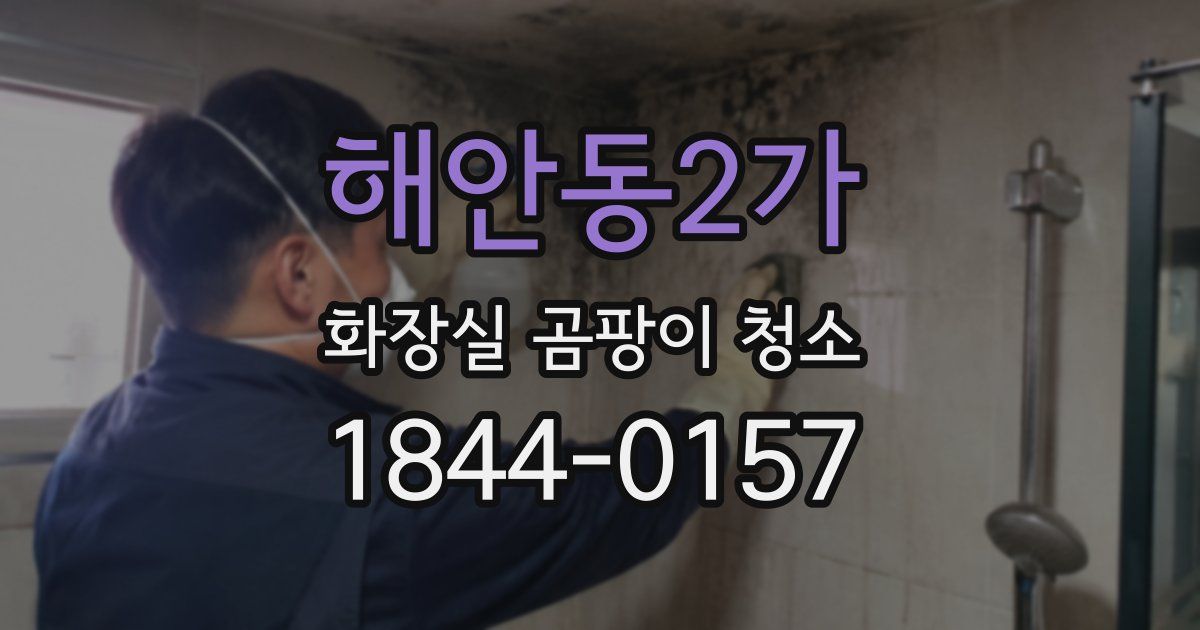 해안동2가 화장실 곰팡이 청소