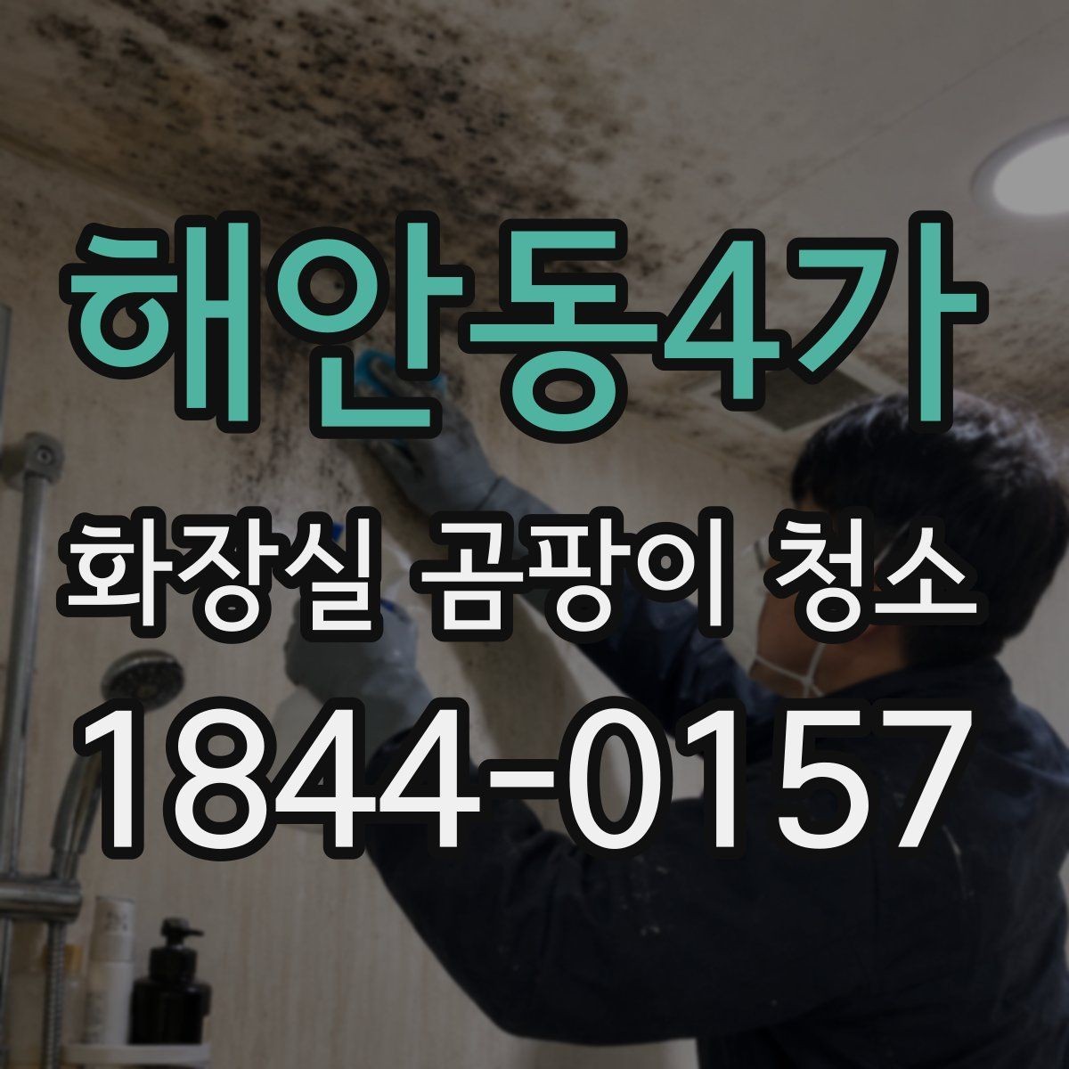 해안동4가 화장실 곰팡이 청소 자주 젖는 샤워 공간을 먼저 정리하는 이유