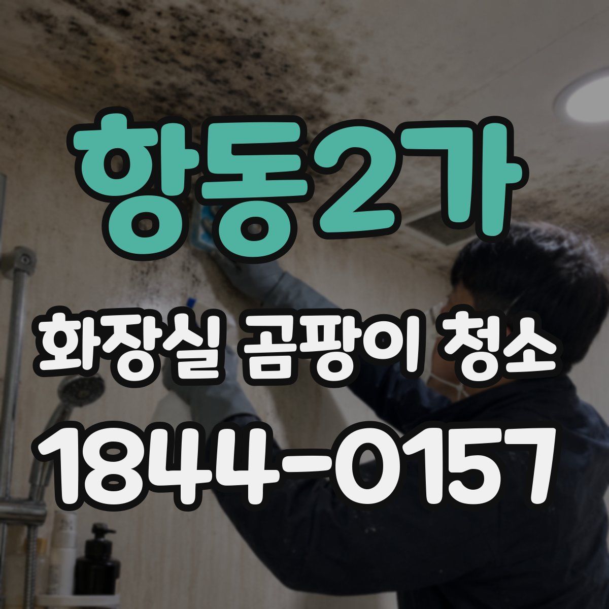 항동2가 화장실 곰팡이 청소