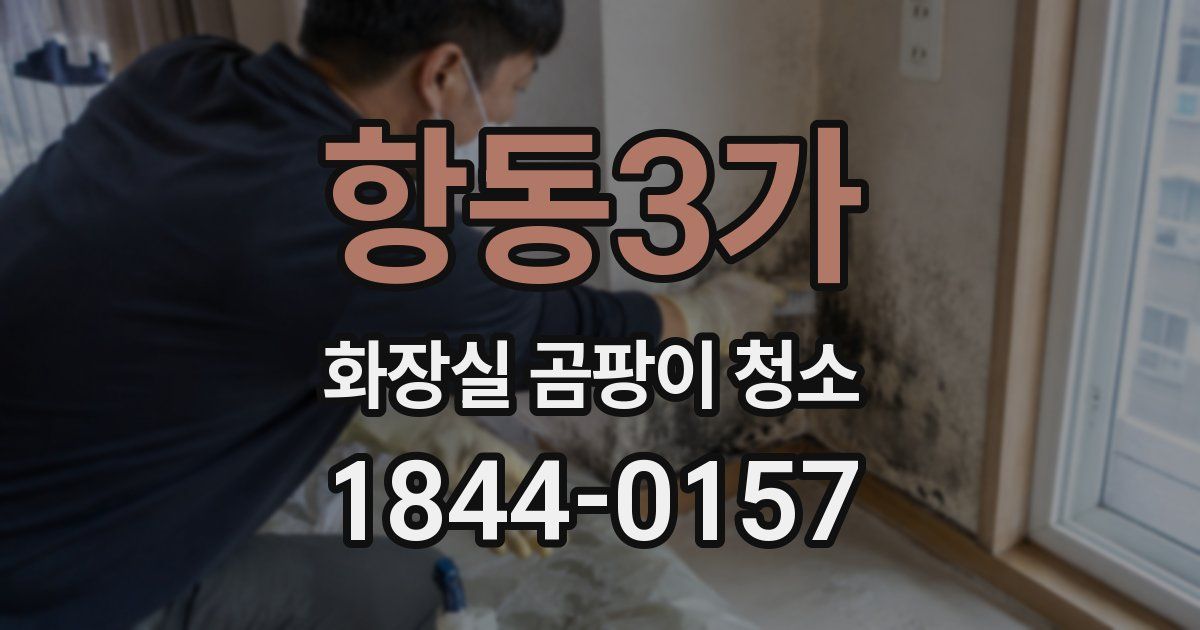 항동3가 화장실 곰팡이 청소