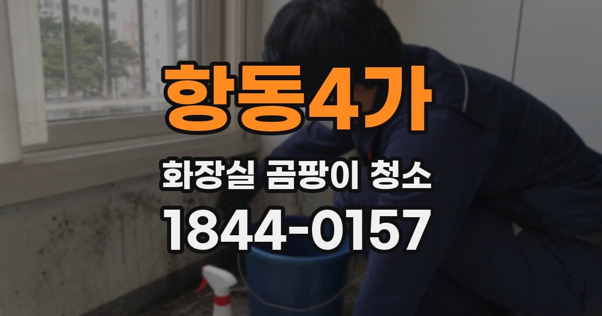 항동4가 화장실 곰팡이 청소