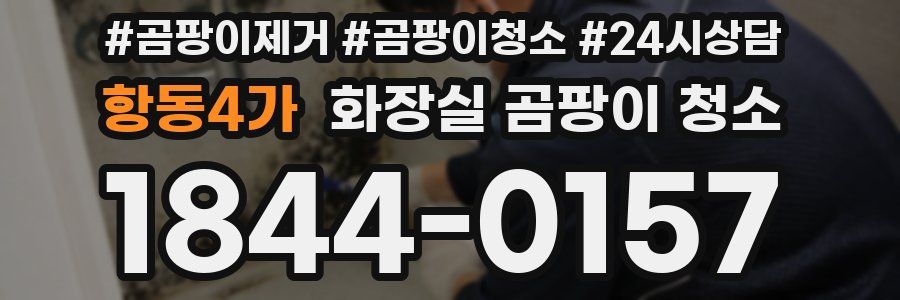 항동4가 화장실 곰팡이 청소