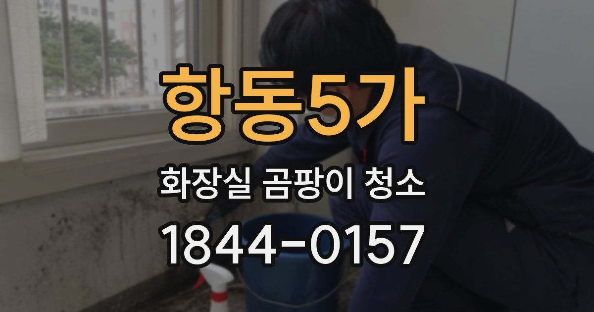 항동5가 화장실 곰팡이 청소