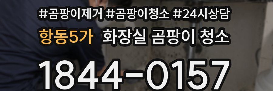 항동5가 화장실 곰팡이 청소