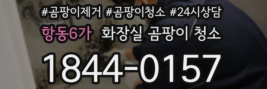 항동6가 화장실 곰팡이 청소