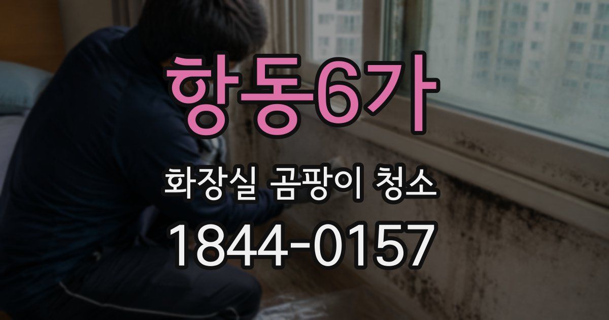 항동6가 화장실 곰팡이 청소