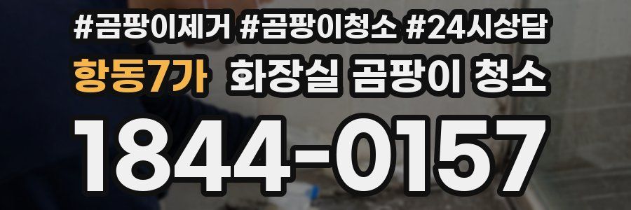 항동7가 화장실 곰팡이 청소