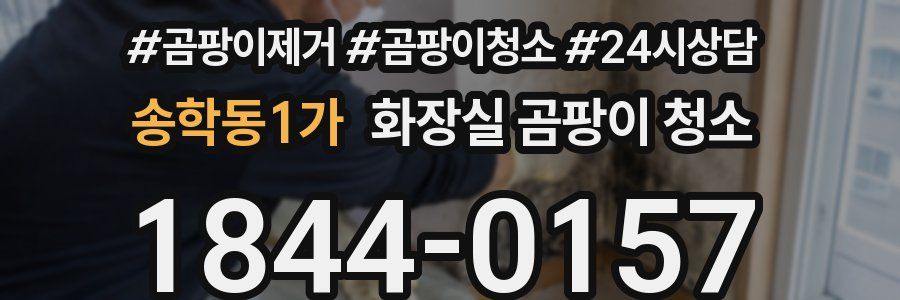송학동1가 화장실 곰팡이 청소