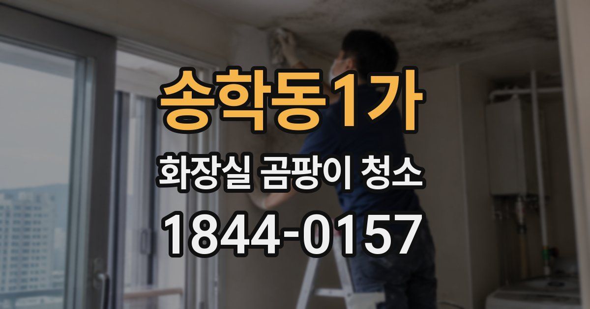송학동1가 화장실 곰팡이 청소